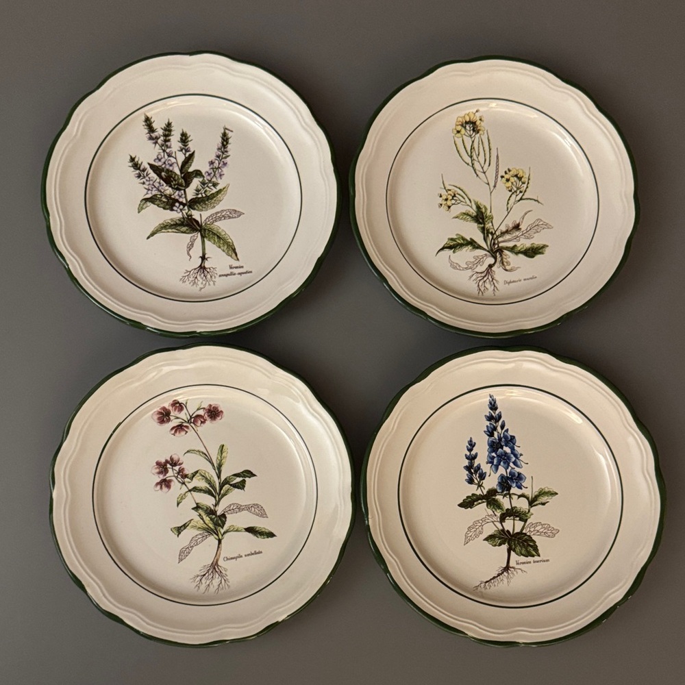 (4) Vintage Botanical Print 8” Plate Set-Green-White Floral
